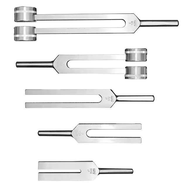 Камертон диагностический набор REF 08.24001.001 (5 штук)